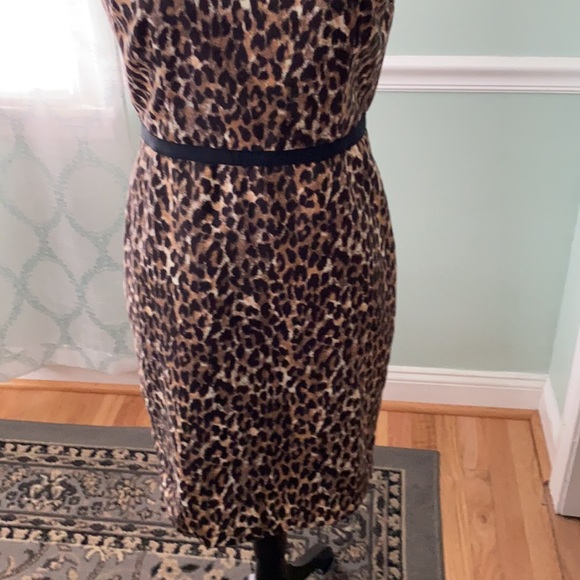 Loft animal print sleeveless dress. Size 4P - Picture 4 of 10